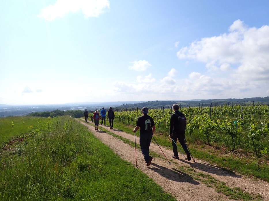Vignobles et vues sur la vallée
