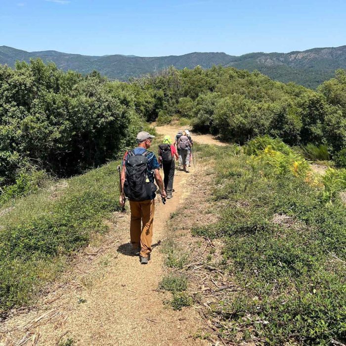Descente vers Cambonéral